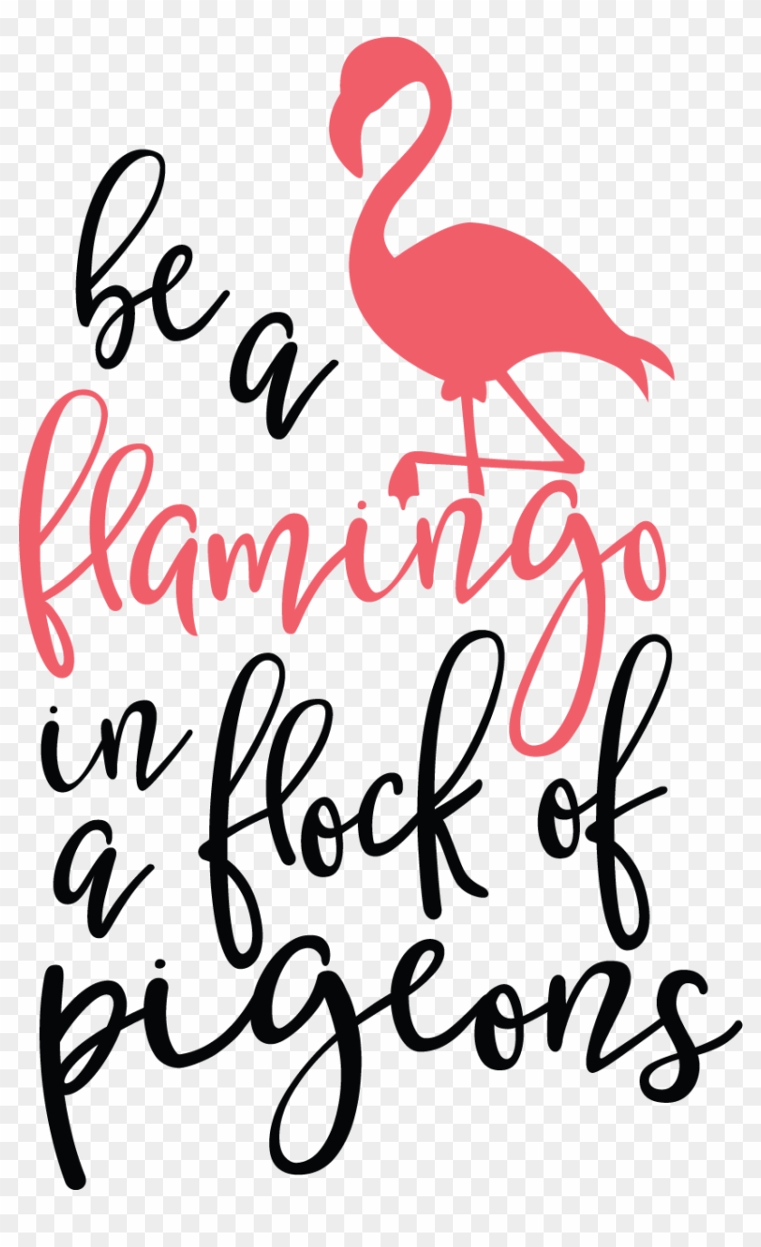 Typography Quotes, Cricut Explore, Flamingo, Pigeon, - Flamingo In A Flock Of Pigeons Svg #1185395