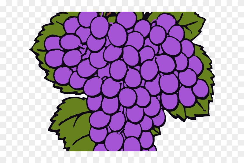 Grapes Clipart Ten - Giant Grapes In The Bible #1185431