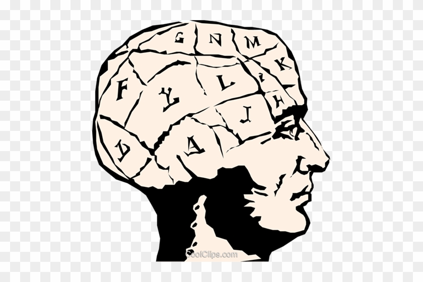 Human Brain Royalty Free Vector Clip Art Illustration - Brain Clipart #1186251