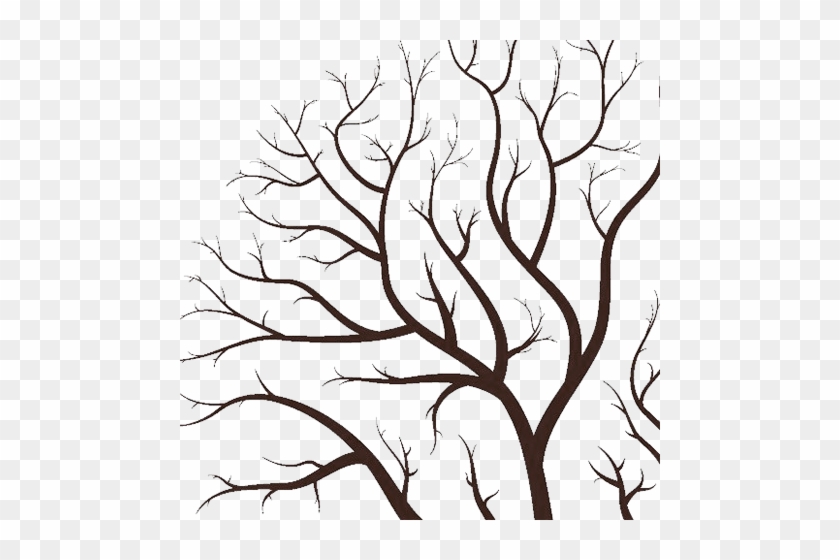 Tree-002 - Branches Of Tree Drawing #1186689