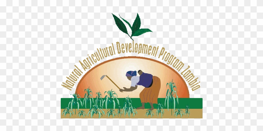 Partners - Agricultural Development Clip Arts #1186704