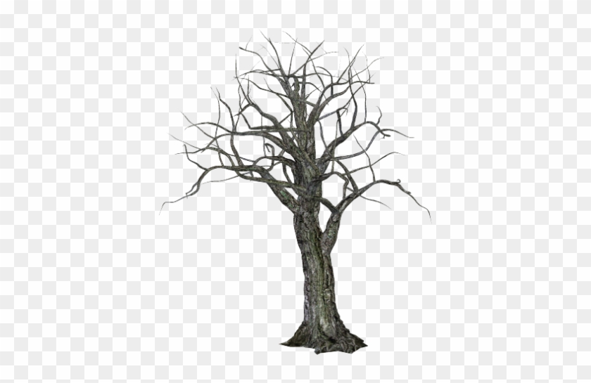 Tree-041 - Scary Tree Png #1186742