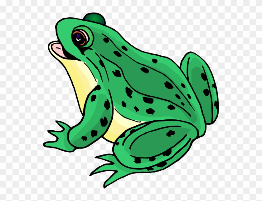 Frog Clip Art - Mink Frog #1186758