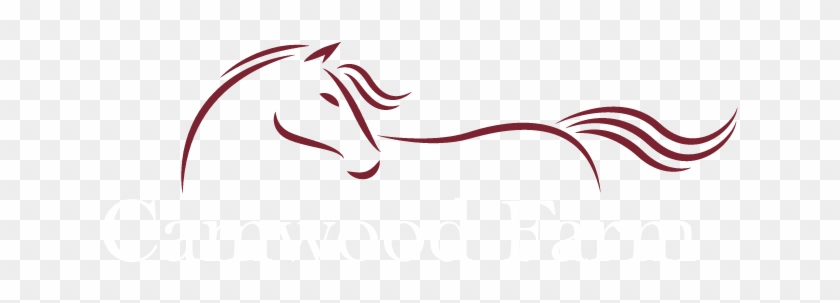 Menu - Stallion #1187397