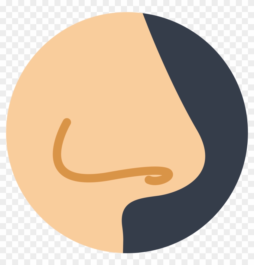Nose Otorhinolaryngology Nasal Irrigation Mucus Icon - Nose Icon #1187490