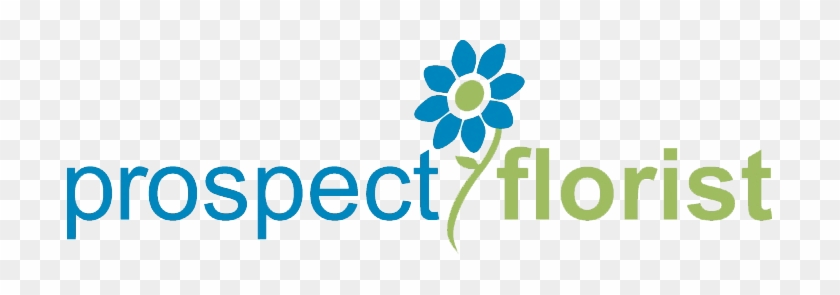 Peoria, Il Florist - Project Red Light [book] #1187530