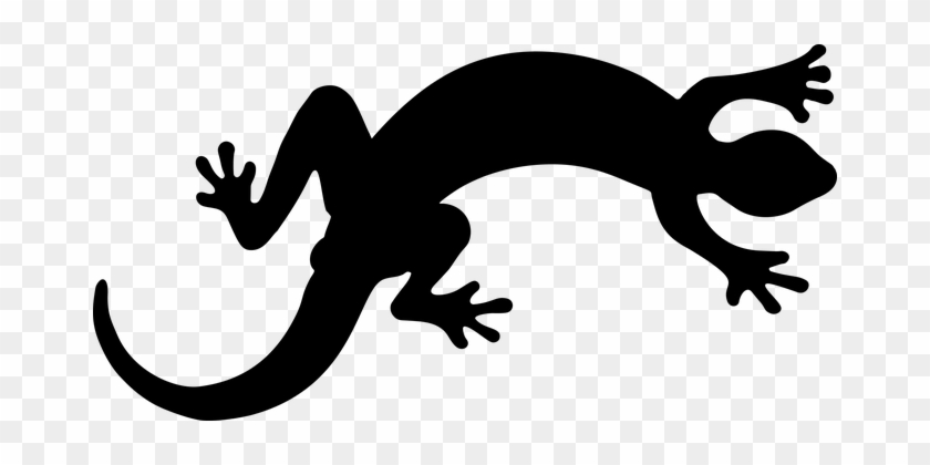 Animal, Gecko, Lizard, Reptile - Salamander Silhouette #1187692