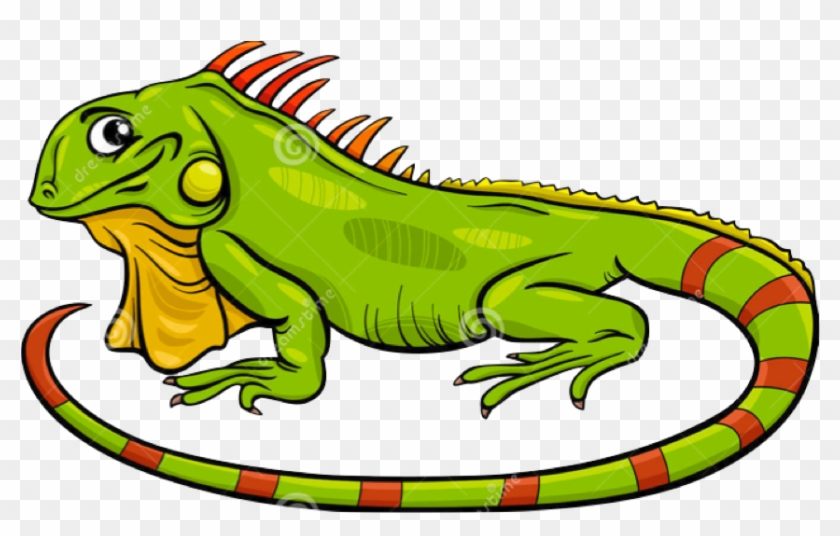Green Iguana Clipart Lizard - Cartoon Iguana #1187707