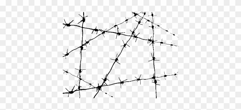 Barbwire Png - Barbed Wire #1188029