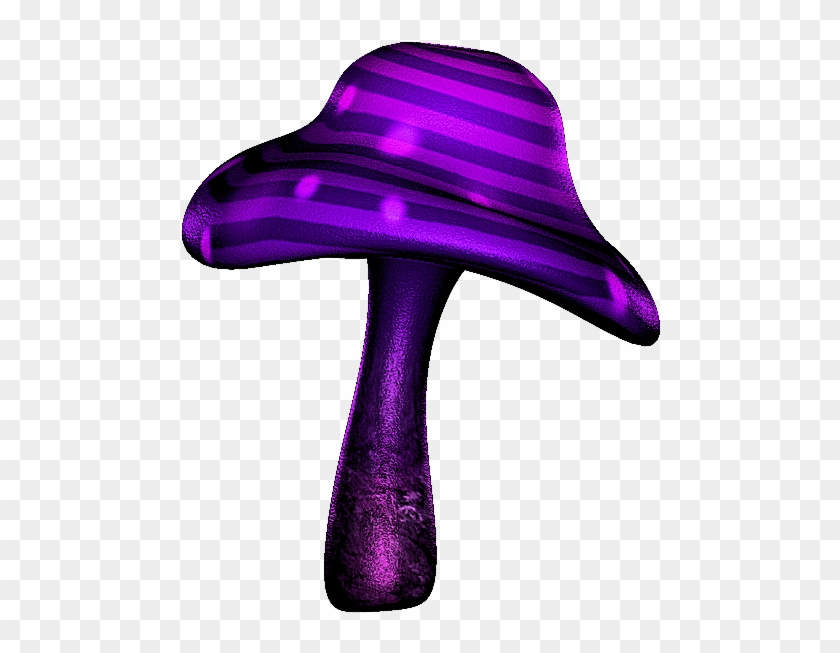 Shrooms ‿✿⁀°••○ - Album #1188200