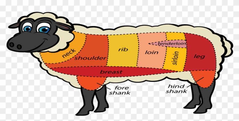 Cuts Of Meat On A Lamb #1188267
