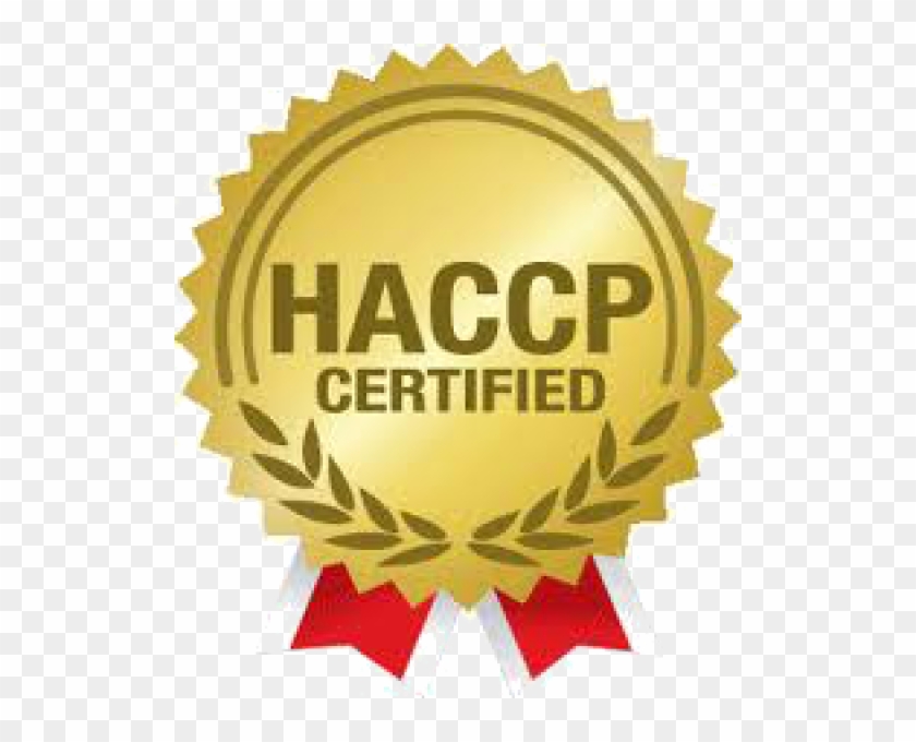 Winner Plus Holistic Lamb 100% & Potato 12 Kg - Logo Haccp Certified #1188288