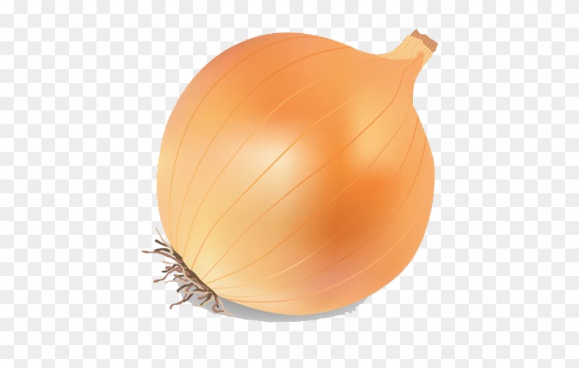 Onion Vector Png Transparent Image Png Mart Rh Pngmart - Onion Vector Png #1188406