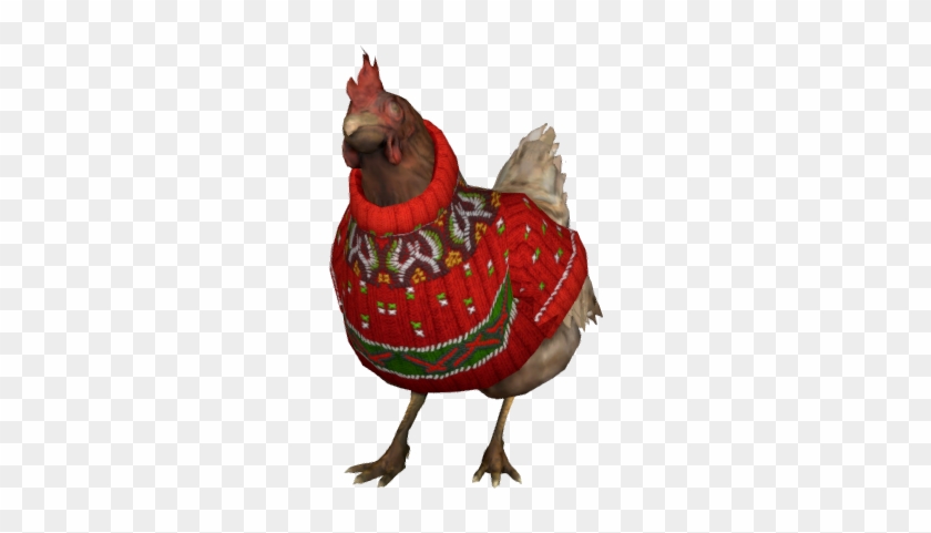 During The 2015 Winter Update Chickens Are Given Sweaters - Csgo Chicken Sweater #1188707