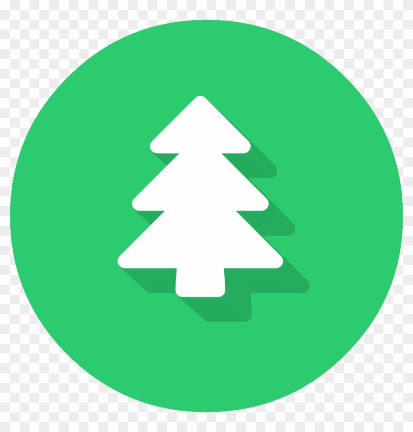 Expedition - Christmas Tree #1188748