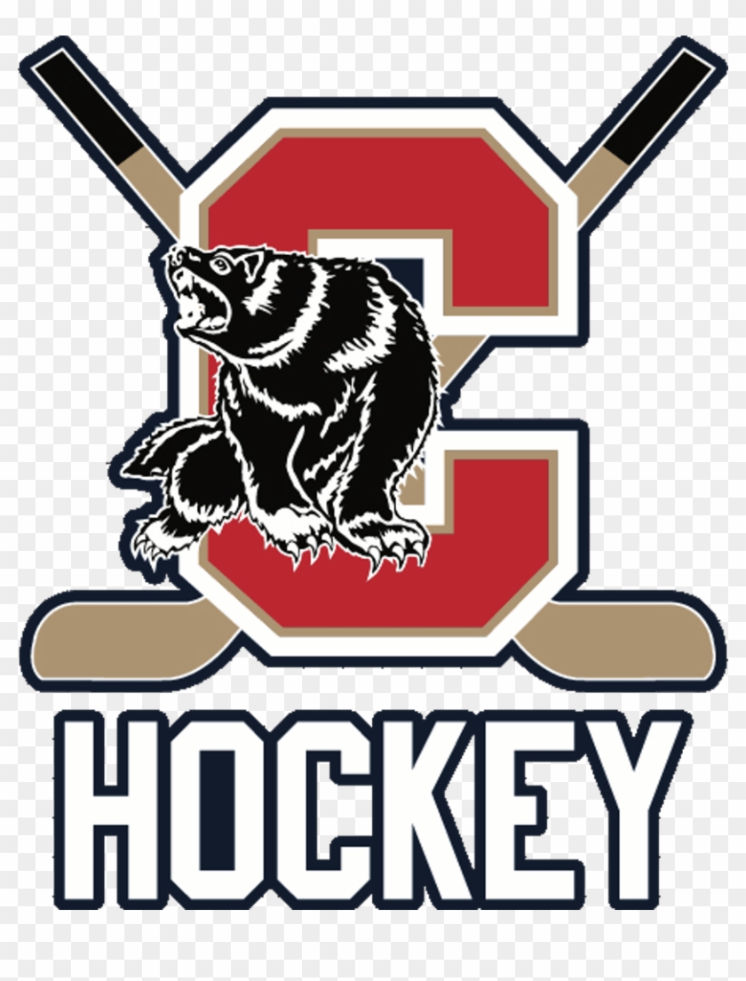 Chaparral High School Hockey #1188816