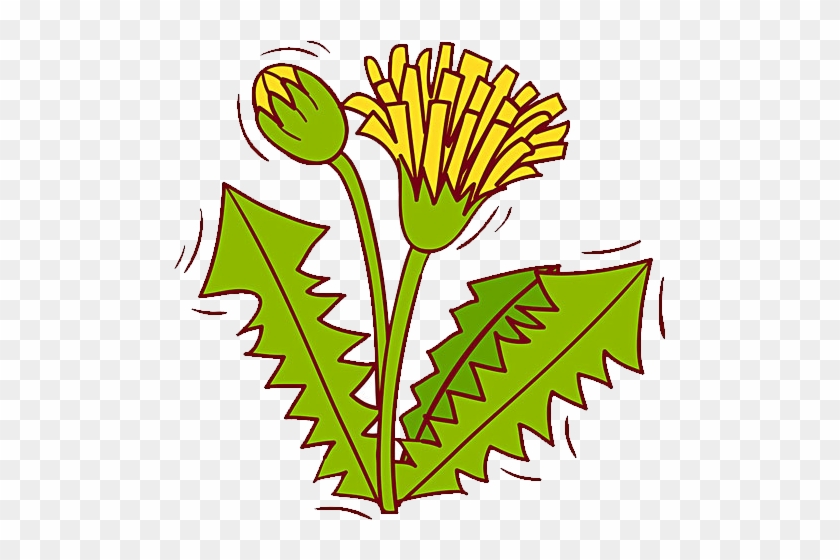 Dandelion Flower Pissenlit - Emblem #1189008