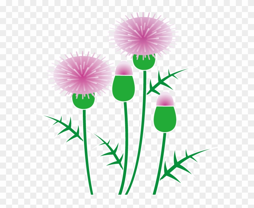 Thistle Clipart - Thistle Clipart #1189042