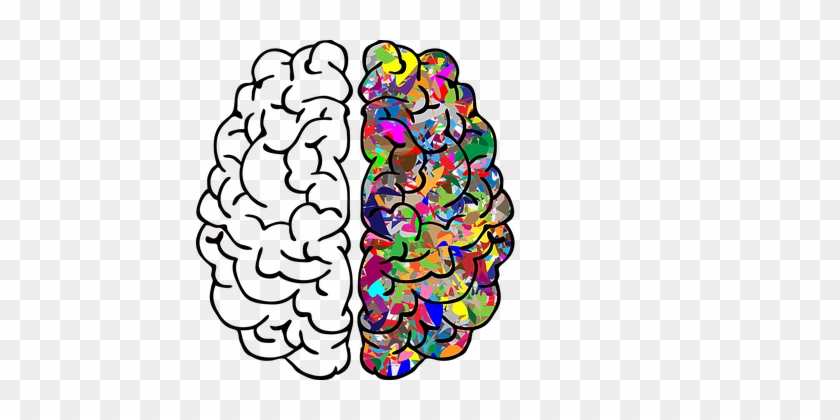 Brain, Mind, A, I, Ai, Anatomy - Brain Png #1189311
