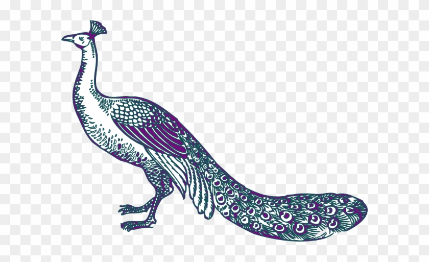 Free Peacock Clipart - Wedding Peacock Clip Art #1189418