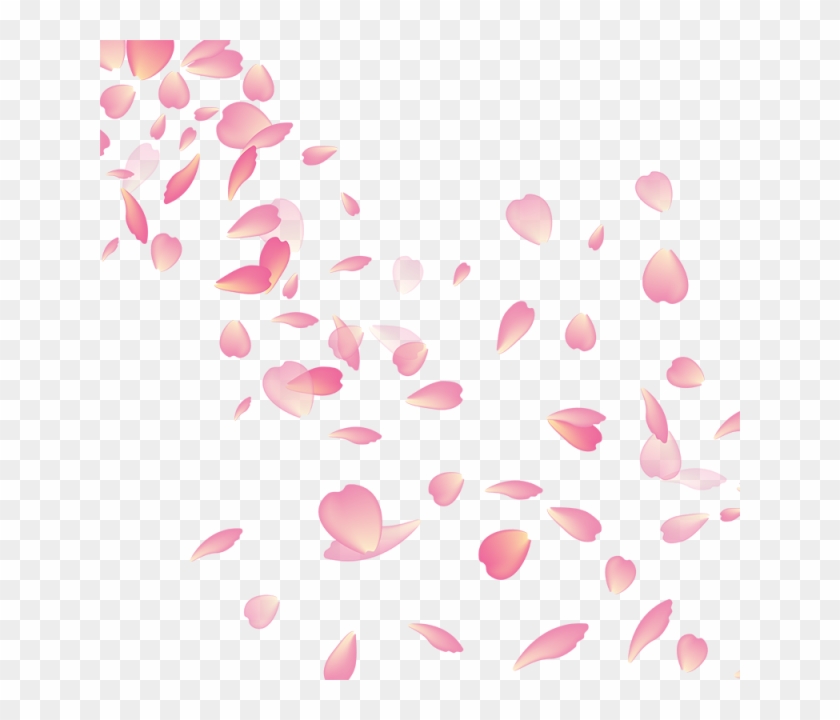 Cherry Blossom Flower Vector Png, Cherry Blossom, Flower - Cherry Blossom Petals Transparent #1189483