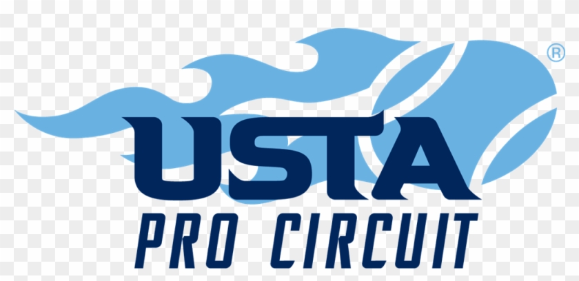Ustaprocircuit 4c - Usta Foundation #1189508