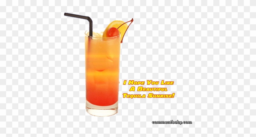 Anketa - Tequila Sunrise Cocktail #1189696