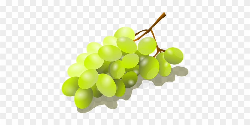 Bunch Of Grapes Viognier Grapes Grapes Fru - Diet #1189858