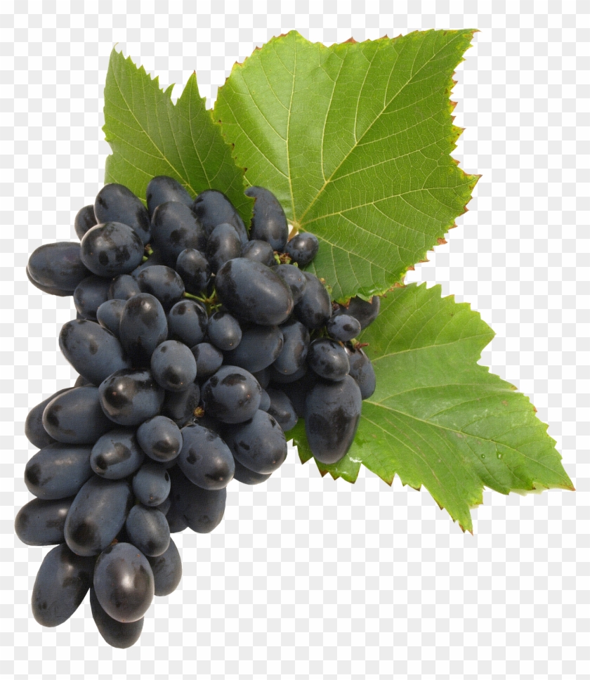 Grape Png Transparent Images - Grapes Black #1189863