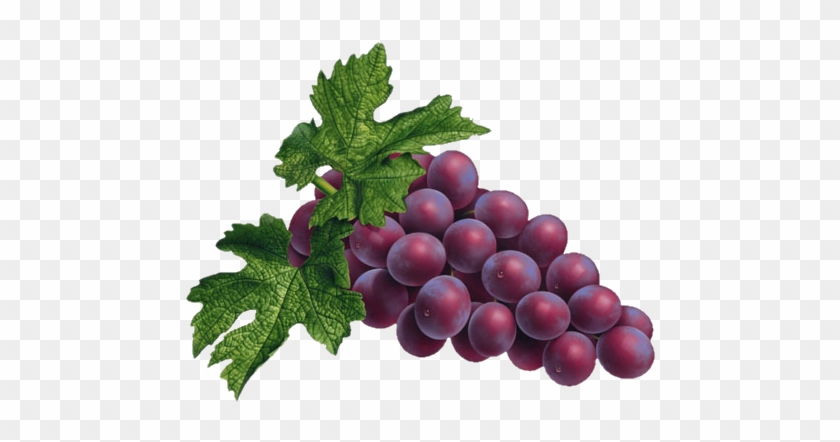 Grape Png Transparent Images - Grapes Png #1189867