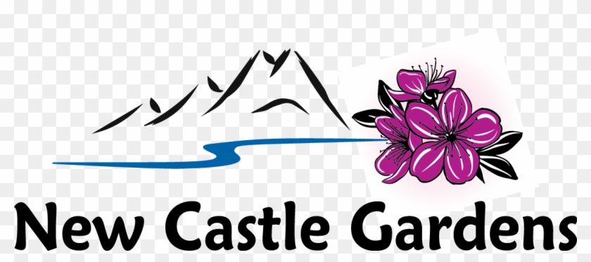New Castle Gardens #1189949