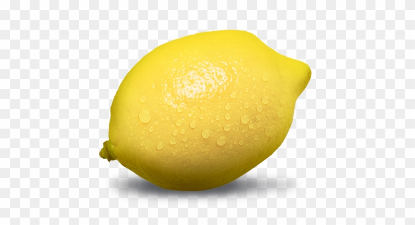 Find Out More About Lemon Groups - Sweet Lemon #1189959