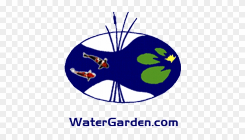 The Water Garden Llc - Garden #1189975