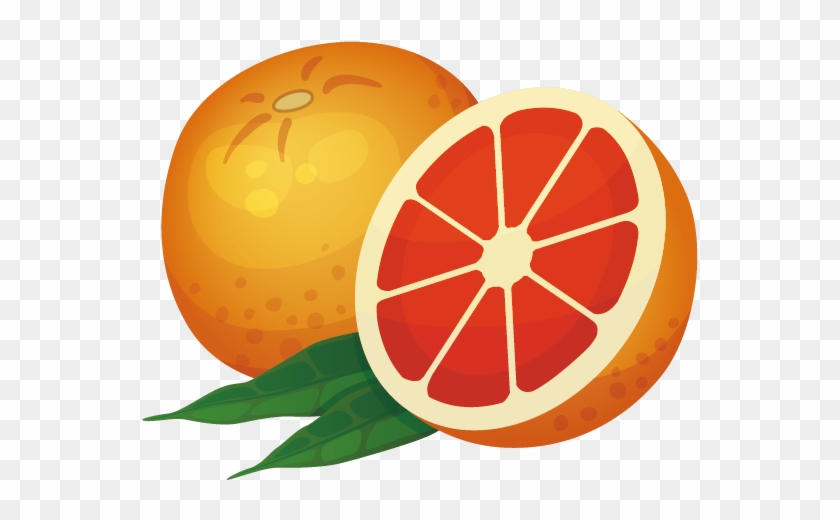 Orange Icon - Vector Grapefruit - Drawing #1190135