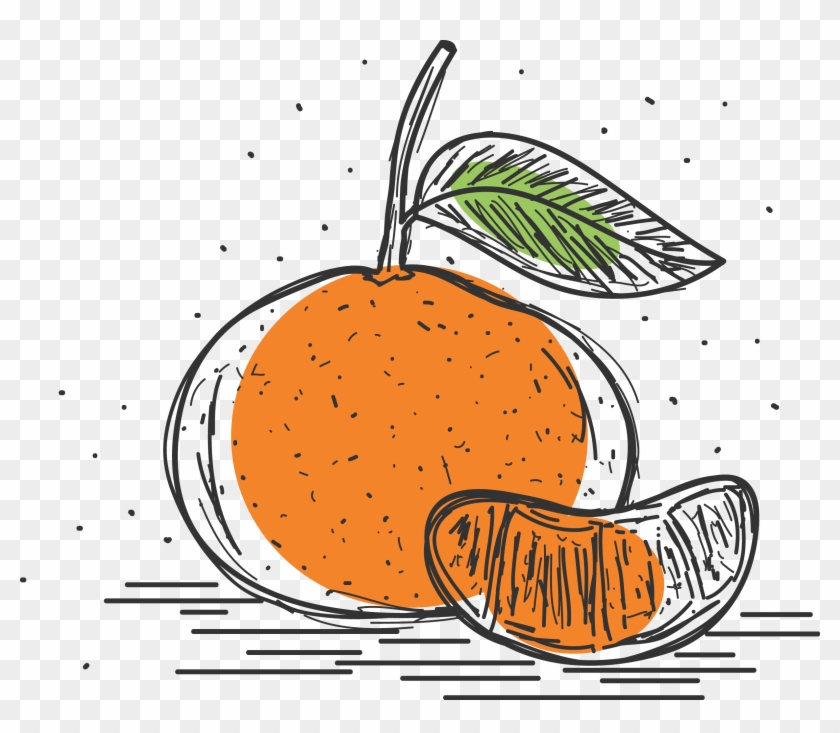 Mandarin Orange Pomelo Grapefruit Clementine - กราฟิค ส้ม โอ #1190142