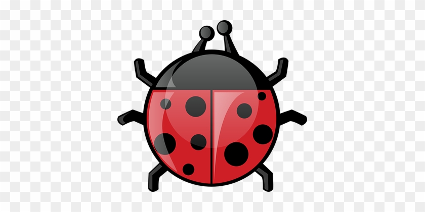 Ladybird, Ladybug, Animal, Bug, Beetle - Spring Animals Clip Art #1190264