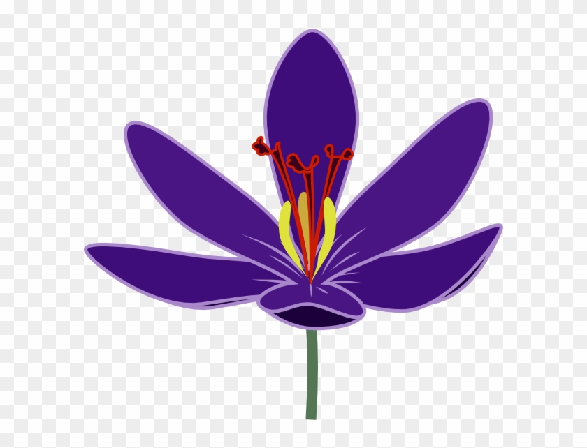 Saffron Flower Clipart #1190321