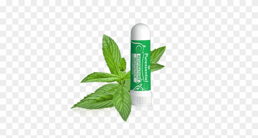 Inhaler With 19 Essential Oils, 1ml - Seed-balls.com 20 Peppermint Seed Balls! (mentha Piperita) #1190992