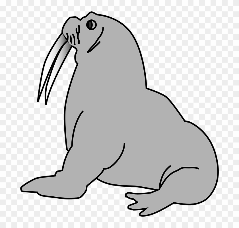 Sea Lion Clipart Transparent Free Clipart On Dumielauxepices - Seal Clip Art #1191374