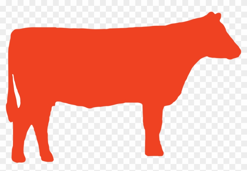 2017 Quivira Conference - 2017 Quivira Conference #1191696