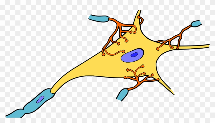 Neuron #1191844