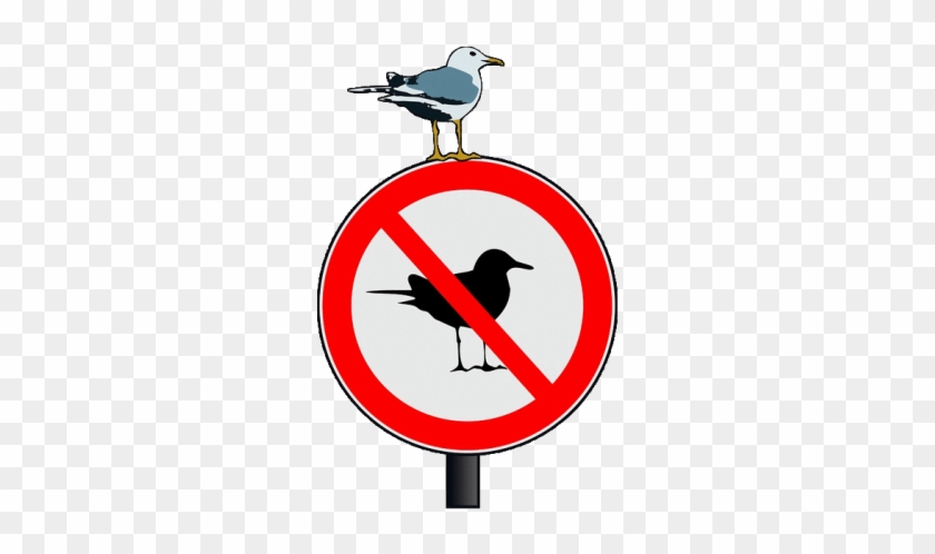 Picture - Vector Graphics #1191930