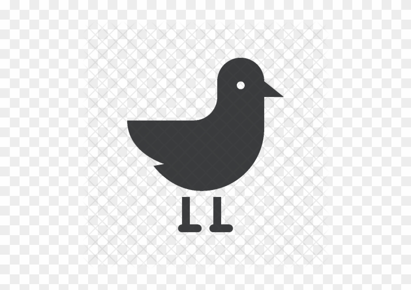 Seagull Icon - Pigeons And Doves #1191945