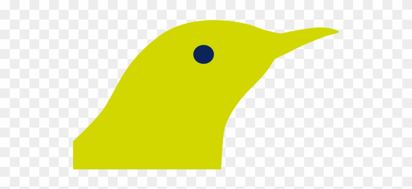 Slider Gull Bg - Piciformes #1191955