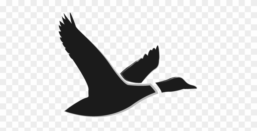 Matthew Duckworth Furniture - Alt Attribute #1191984