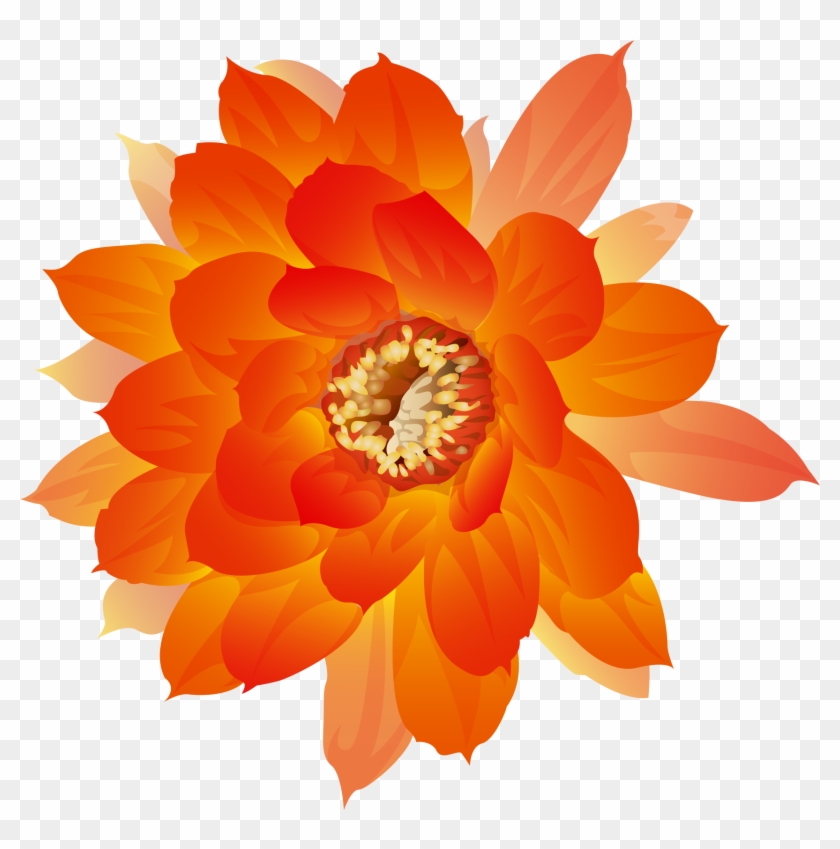 Watercolor Painting Icon - Orange Flowers Transparent #1192116