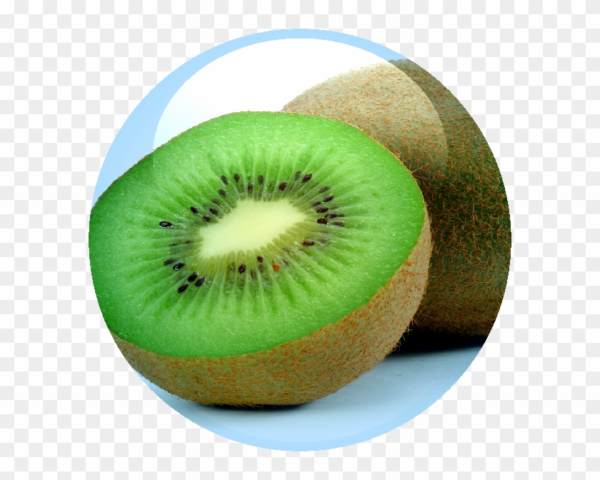 Kiwi Fruit Extract - Kiwi Fruit Extract #1192263