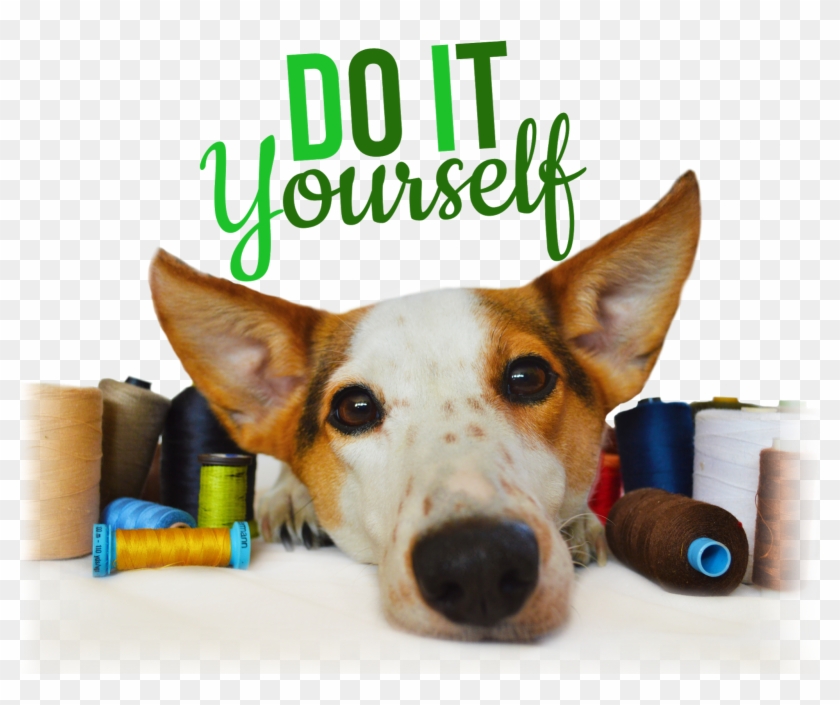 Diy - Companion Dog #1192486
