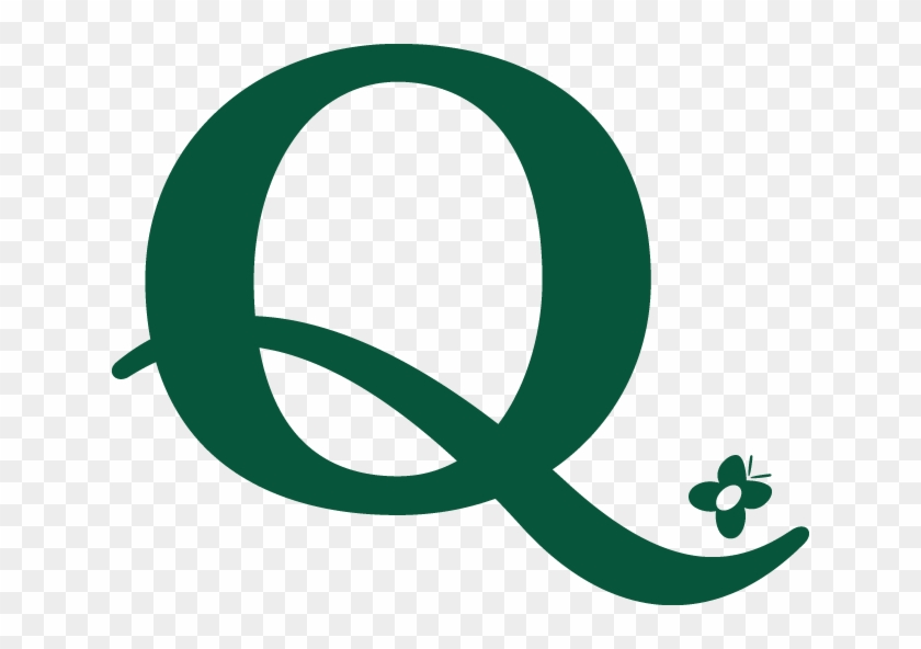 Letter Q Png Image Background - Letter Q With A Transparent Backound #1192666