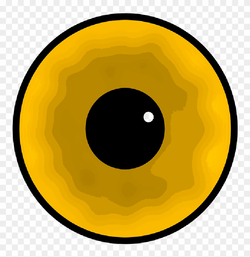 Egg - Yellow Eye Vector #1192724